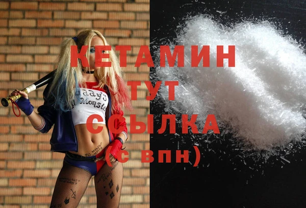прущие грибы Абаза