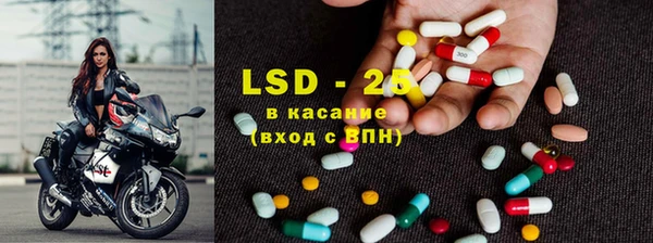 прущие грибы Абаза