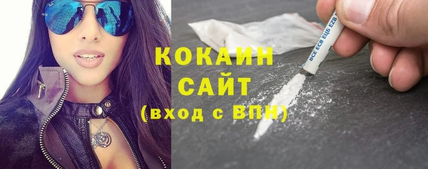прущие грибы Абаза