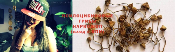 крисы Абдулино