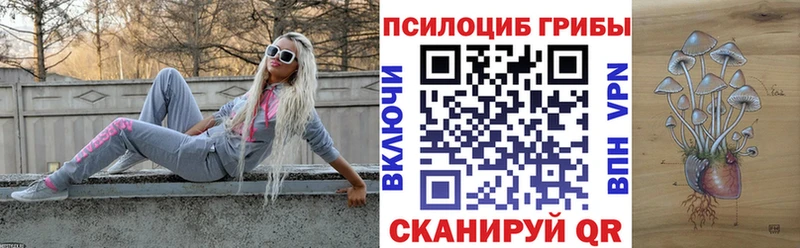 OMG ссылка  Сычёвка  Галлюциногенные грибы GOLDEN TEACHER 